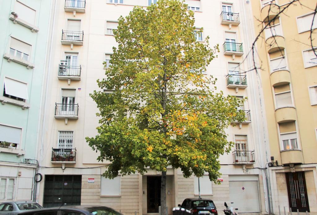 Appartamento Casa da Praceta Lisbona Esterno foto